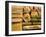 Japanese Noodles: Soba, Udon, Kishimen, Harusame, Ramen-Gerrit Buntrock-Framed Photographic Print