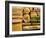 Japanese Noodles: Soba, Udon, Kishimen, Harusame, Ramen-Gerrit Buntrock-Framed Photographic Print