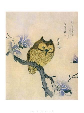'Japanese Owl on a Branch' Art Print | Art.com