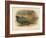 Japanese Pheasant (Phasaianus versicolor), Ring-Necked Pheasant (Phasaianus torquatus), 1900-Charles Whymper-Framed Giclee Print