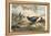 Japanese Pheasants, 1865-Joseph Wolf-Framed Premier Image Canvas