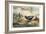 Japanese Pheasants, 1865-Joseph Wolf-Framed Giclee Print