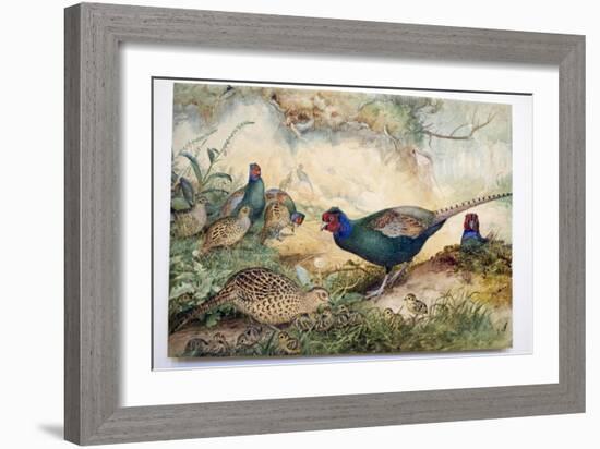 Japanese Pheasants, 1865-Joseph Wolf-Framed Giclee Print