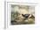 Japanese Pheasants, 1865-Joseph Wolf-Framed Giclee Print