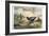 Japanese Pheasants, 1865-Joseph Wolf-Framed Giclee Print