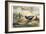 Japanese Pheasants, 1865-Joseph Wolf-Framed Giclee Print