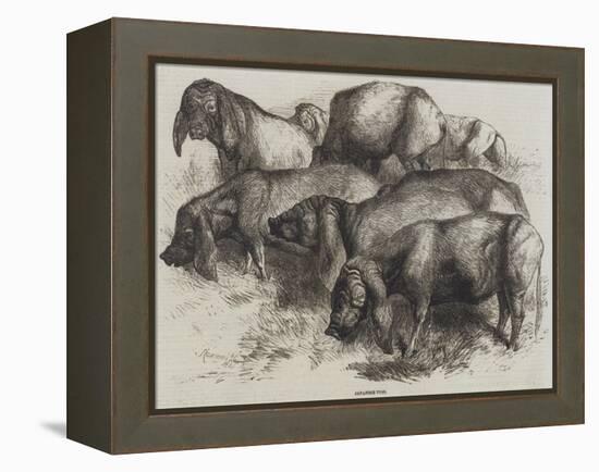 Japanese Pigs-Harrison William Weir-Framed Premier Image Canvas