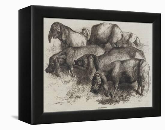 Japanese Pigs-Harrison William Weir-Framed Premier Image Canvas