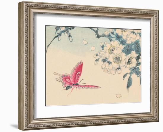 Japanese Pink Butterfly-Haruna Kinzan-Framed Art Print