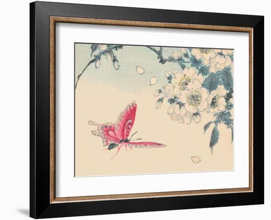 Japanese Pink Butterfly-Haruna Kinzan-Framed Art Print