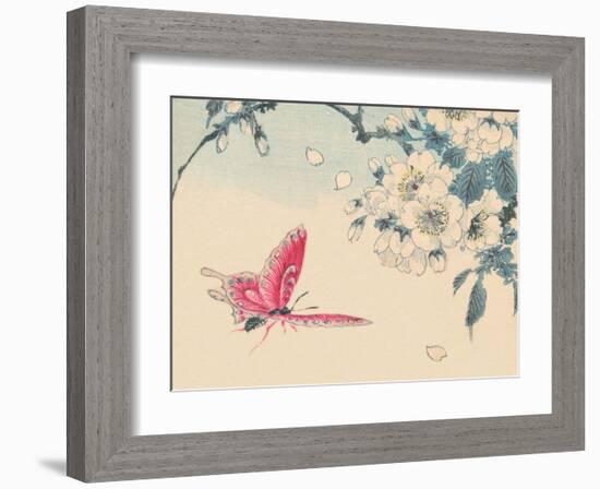 Japanese Pink Butterfly-Haruna Kinzan-Framed Art Print