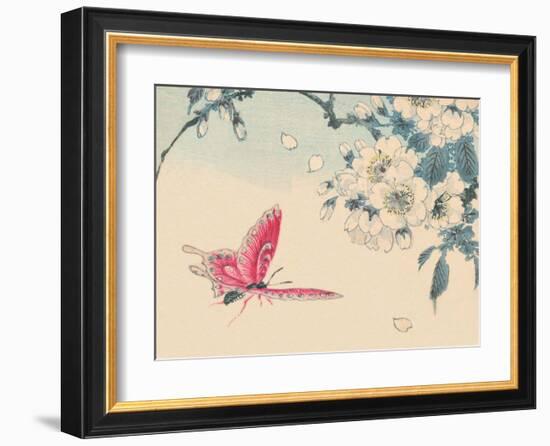 Japanese Pink Butterfly-Haruna Kinzan-Framed Art Print