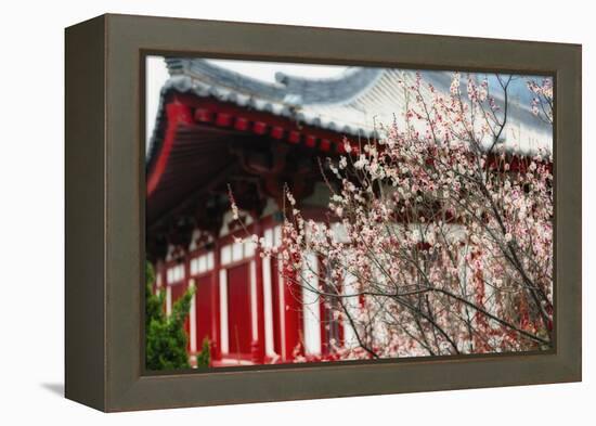 Japanese Plum Tree Blossom-George Oze-Framed Premier Image Canvas