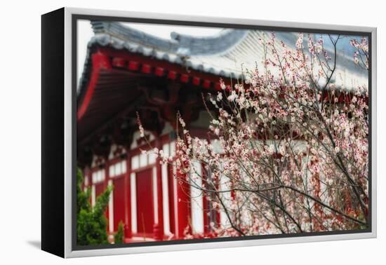 Japanese Plum Tree Blossom-George Oze-Framed Premier Image Canvas