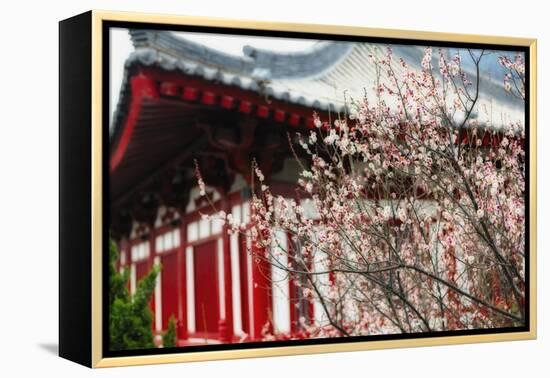 Japanese Plum Tree Blossom-George Oze-Framed Premier Image Canvas