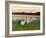 Japanese / Red-Crowned Crane Pair, Khingansky Zapovednik, Russia-Igor Shpilenok-Framed Photographic Print