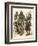 Japanese Samurai Warriors in Full Armor-null-Framed Giclee Print