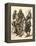 Japanese Samurai Warriors in Full Armor-null-Framed Premier Image Canvas