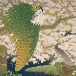 Peacocks and Cherry Tree, c.1925-Japanese School-Giclee Print