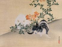 Unmounted Fan: Bird Diving onto Snow-Covered Bamboo, C.1700-60-Japanese School-Giclee Print