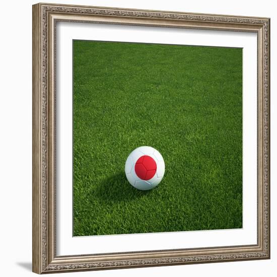 Japanese Soccerball Lying on Grass-zentilia-Framed Art Print