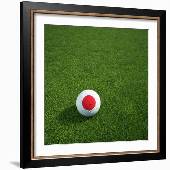 Japanese Soccerball Lying on Grass-zentilia-Framed Art Print