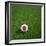 Japanese Soccerball Lying on Grass-zentilia-Framed Art Print