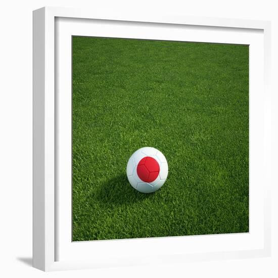 Japanese Soccerball Lying on Grass-zentilia-Framed Art Print