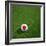 Japanese Soccerball Lying on Grass-zentilia-Framed Art Print