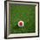 Japanese Soccerball Lying on Grass-zentilia-Framed Art Print