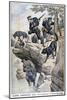 Japanese Soldiers with Dogs Locate a Russian in Hiding, Russo-Japanese War, 1904-null-Mounted Giclee Print
