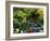 Japanese Style Garden-Vaughan Fleming-Framed Photographic Print