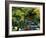 Japanese Style Garden-Vaughan Fleming-Framed Photographic Print