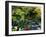 Japanese Style Garden-Vaughan Fleming-Framed Photographic Print