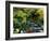 Japanese Style Garden-Vaughan Fleming-Framed Photographic Print