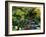 Japanese Style Garden-Vaughan Fleming-Framed Photographic Print