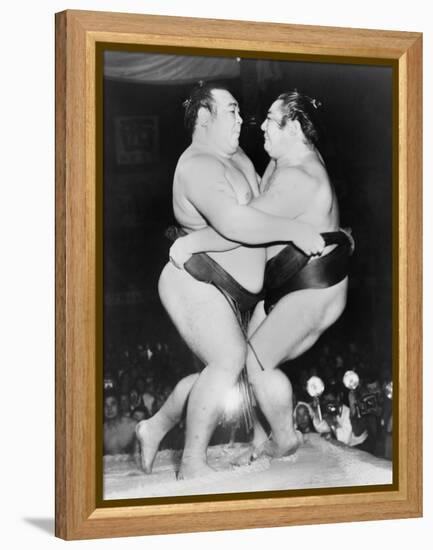 Japanese Sumo Wrestlers, Kiyoji Kagamisato and Junnosuke Yoshibayama, 1952-null-Framed Stretched Canvas