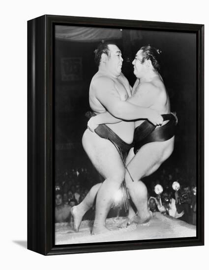Japanese Sumo Wrestlers, Kiyoji Kagamisato and Junnosuke Yoshibayama, 1952-null-Framed Stretched Canvas
