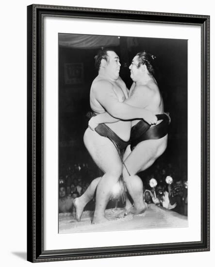 Japanese Sumo Wrestlers, Kiyoji Kagamisato and Junnosuke Yoshibayama, 1952-null-Framed Photo