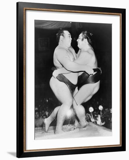 Japanese Sumo Wrestlers, Kiyoji Kagamisato and Junnosuke Yoshibayama, 1952-null-Framed Photo