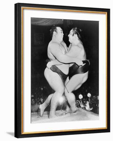 Japanese Sumo Wrestlers, Kiyoji Kagamisato and Junnosuke Yoshibayama, 1952-null-Framed Photo