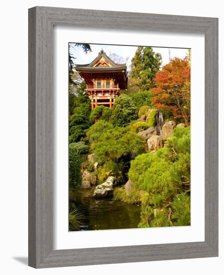 Japanese Tea Garden, Golden Gate Park, San Francisco, California, USA-Michele Westmorland-Framed Photographic Print