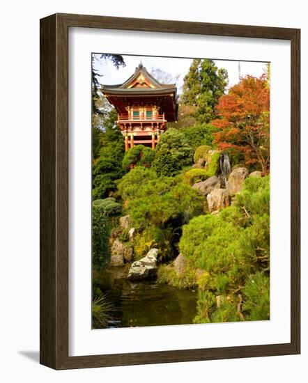 Japanese Tea Garden, Golden Gate Park, San Francisco, California, USA-Michele Westmorland-Framed Photographic Print