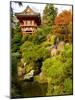 Japanese Tea Garden, Golden Gate Park, San Francisco, California, USA-Michele Westmorland-Mounted Photographic Print