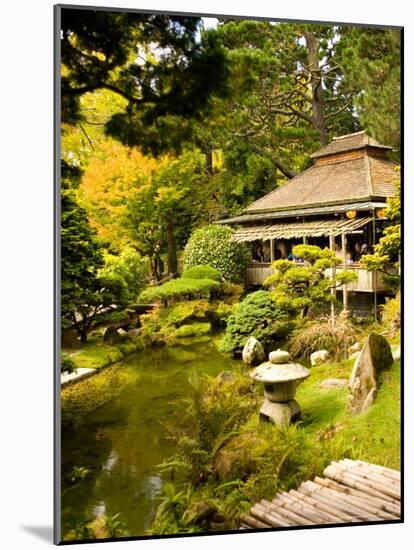 Japanese Tea Garden, Golden Gate Park, San Francisco, California, USA-Michele Westmorland-Mounted Photographic Print