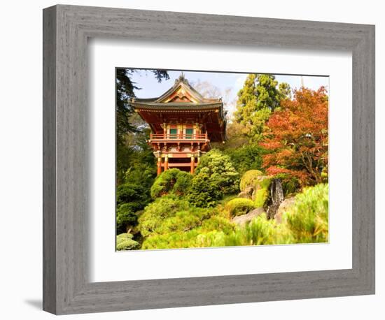 Japanese Tea Garden, Golden Gate Park, San Francisco, California, USA-Michele Westmorland-Framed Photographic Print