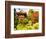 Japanese Tea Garden, Golden Gate Park, San Francisco, California, USA-Michele Westmorland-Framed Photographic Print