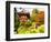 Japanese Tea Garden, Golden Gate Park, San Francisco, California, USA-Michele Westmorland-Framed Photographic Print