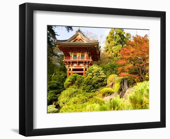 Japanese Tea Garden, Golden Gate Park, San Francisco, California, USA-Michele Westmorland-Framed Photographic Print