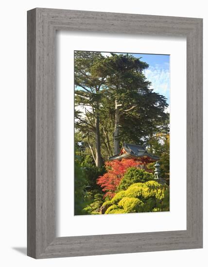 Japanese Tea Garden, Golden Gate Park, San Francisco, California, USA-Stuart Westmorland-Framed Photographic Print
